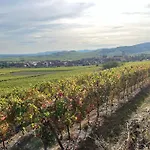 Au Cœur Du Vignoble Alsacien Saint-Hippolyte (Haut-Rhin)