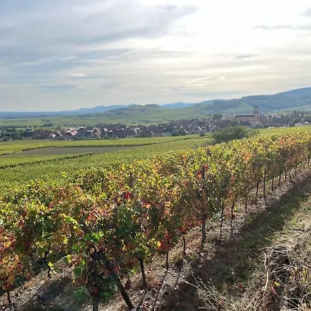 Au Coeur Du Vignoble Alsacien سانت هيبوليت