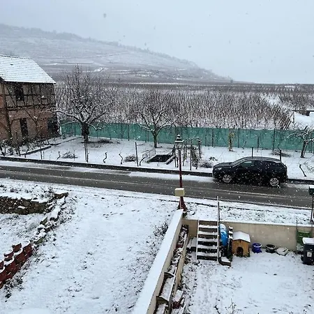 Ferienhaus Au Coeur Du Vignoble Alsacien