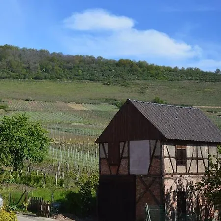 Au Coeur Du Vignoble Alsacien Holiday home Saint-Hippolyte (Haut-Rhin)