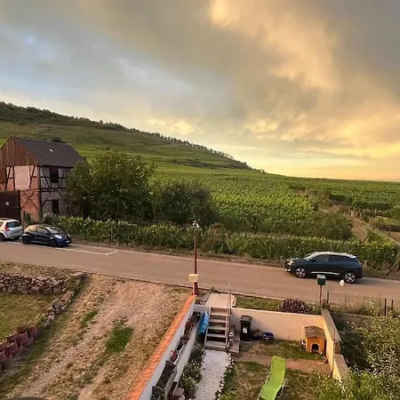 Au Coeur Du Vignoble Alsacien Ferienhaus *