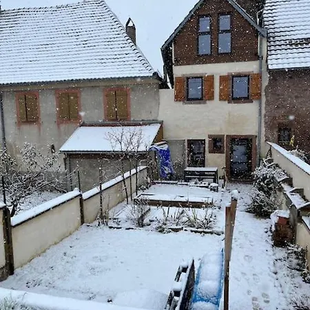 Au Coeur Du Vignoble Alsacien