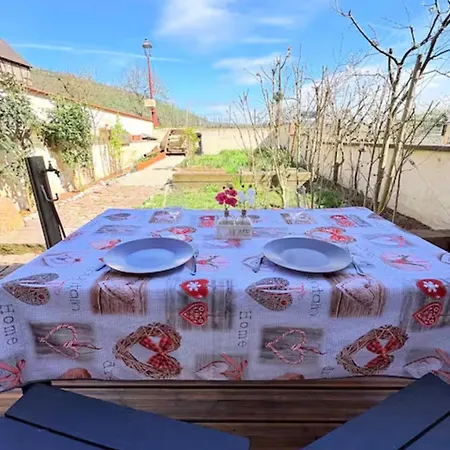 Vakantiehuis Au Coeur Du Vignoble Alsacien Saint-Hippolyte (Haut-Rhin)