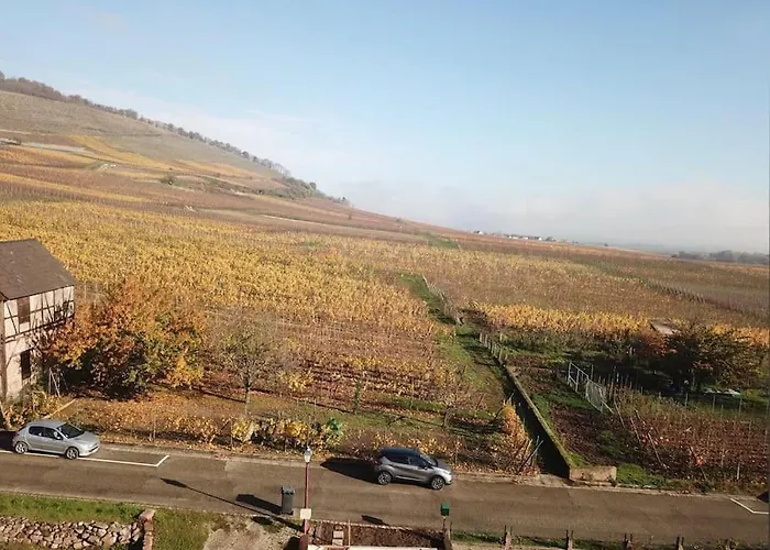 Vakantiehuis Au Coeur Du Vignoble Alsacien