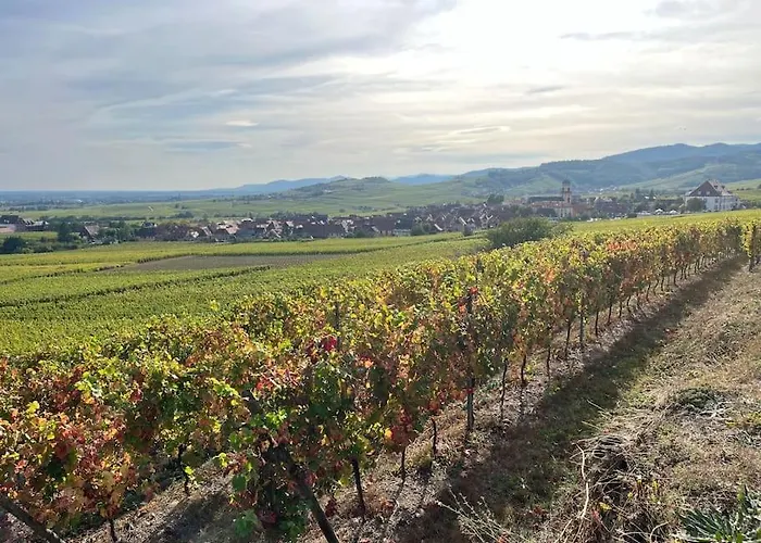 Au Coeur Du Vignoble Alsacien Saint-Hippolyte (Haut-Rhin)