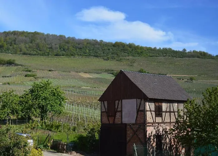 Au Coeur Du Vignoble Alsacien Vakantiehuis Saint-Hippolyte (Haut-Rhin)