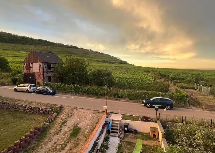 Au Coeur Du Vignoble Alsacien Vakantiehuis *