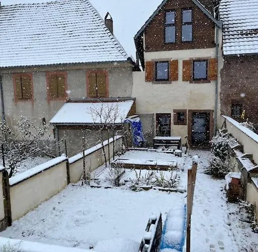 Au Coeur Du Vignoble Alsacien