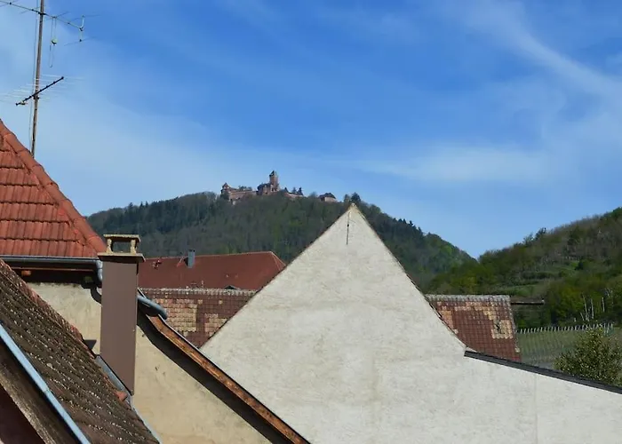 Au Coeur Du Vignoble Alsacien Vakantiehuis *