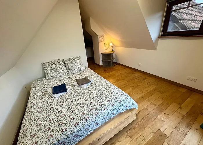Vakantiehuis Au Coeur Du Vignoble Alsacien Saint-Hippolyte (Haut-Rhin)