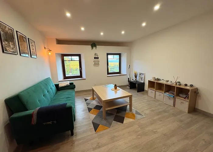 Au Coeur Du Vignoble Alsacien Vakantiehuis